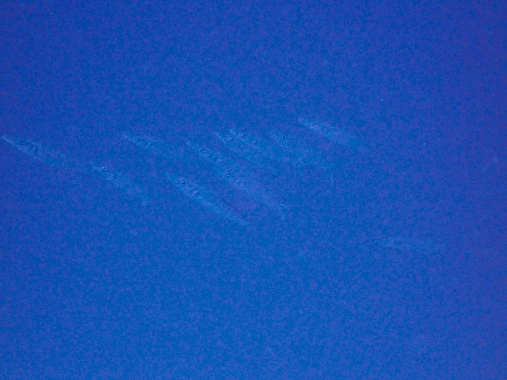 p7080123