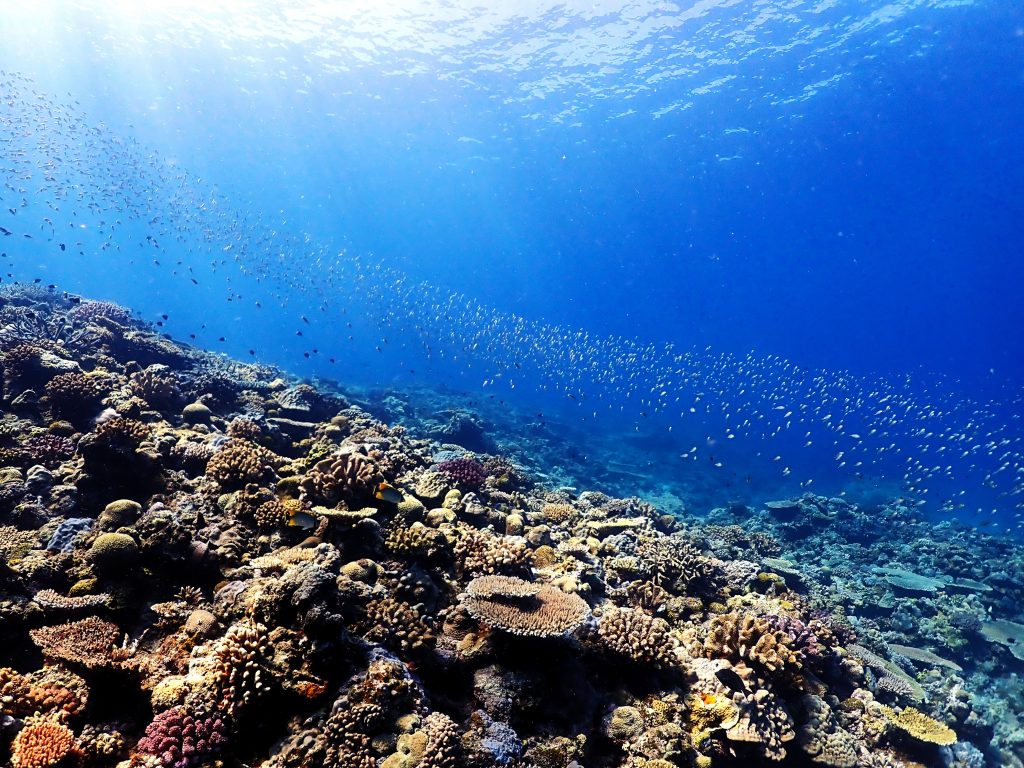 p7080128