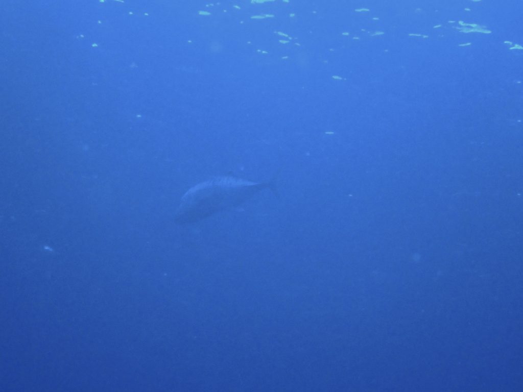 p7090001