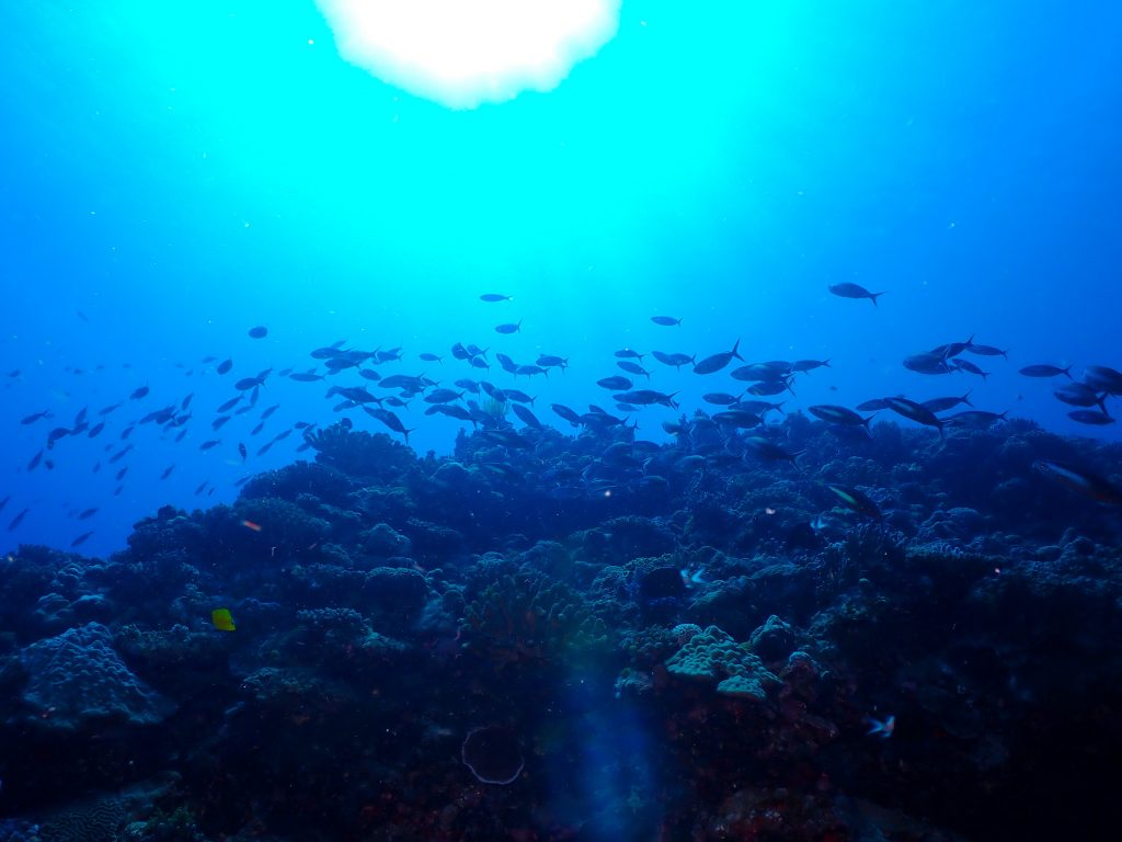 p7100017