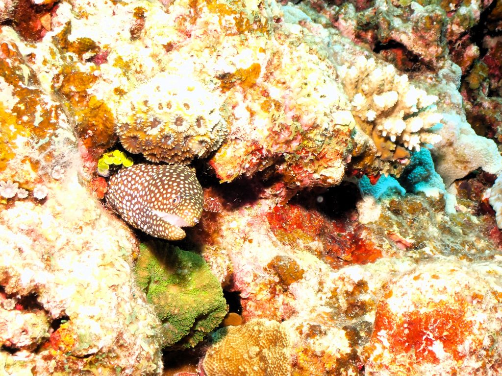 p7130231