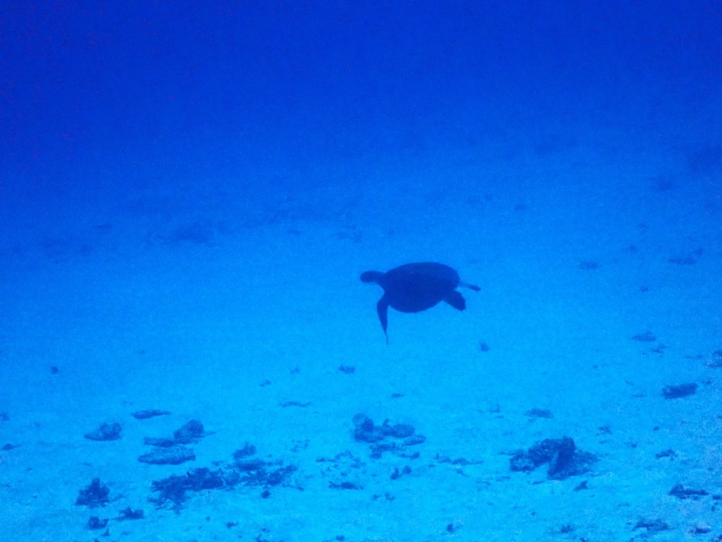 pb240193
