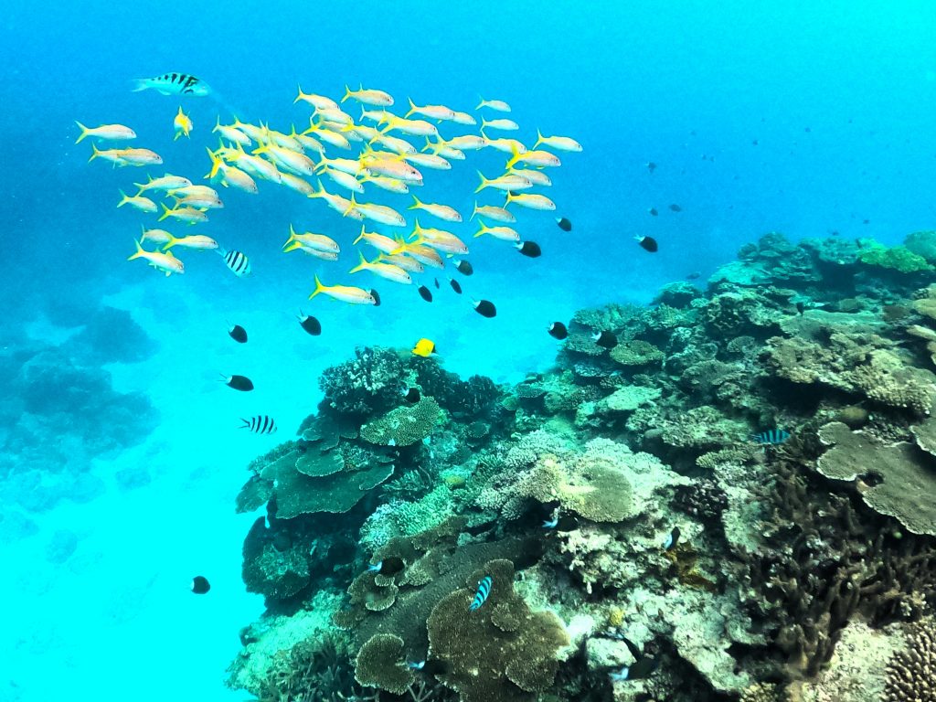 DCIM100GOPROGOPR4572.JPG