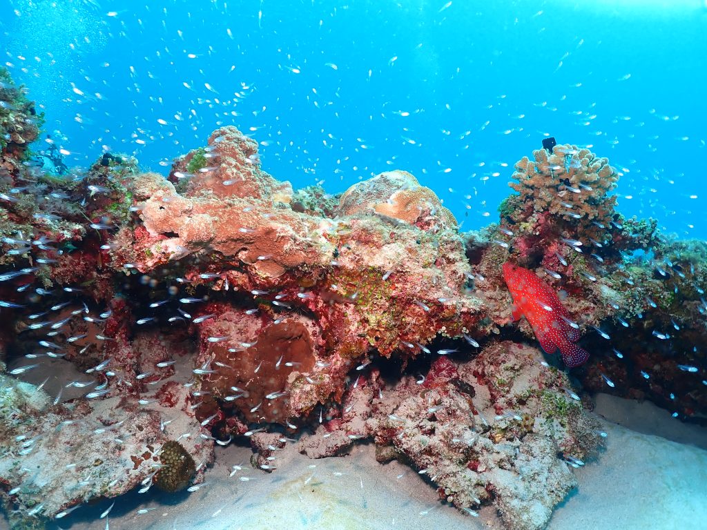 pc270171