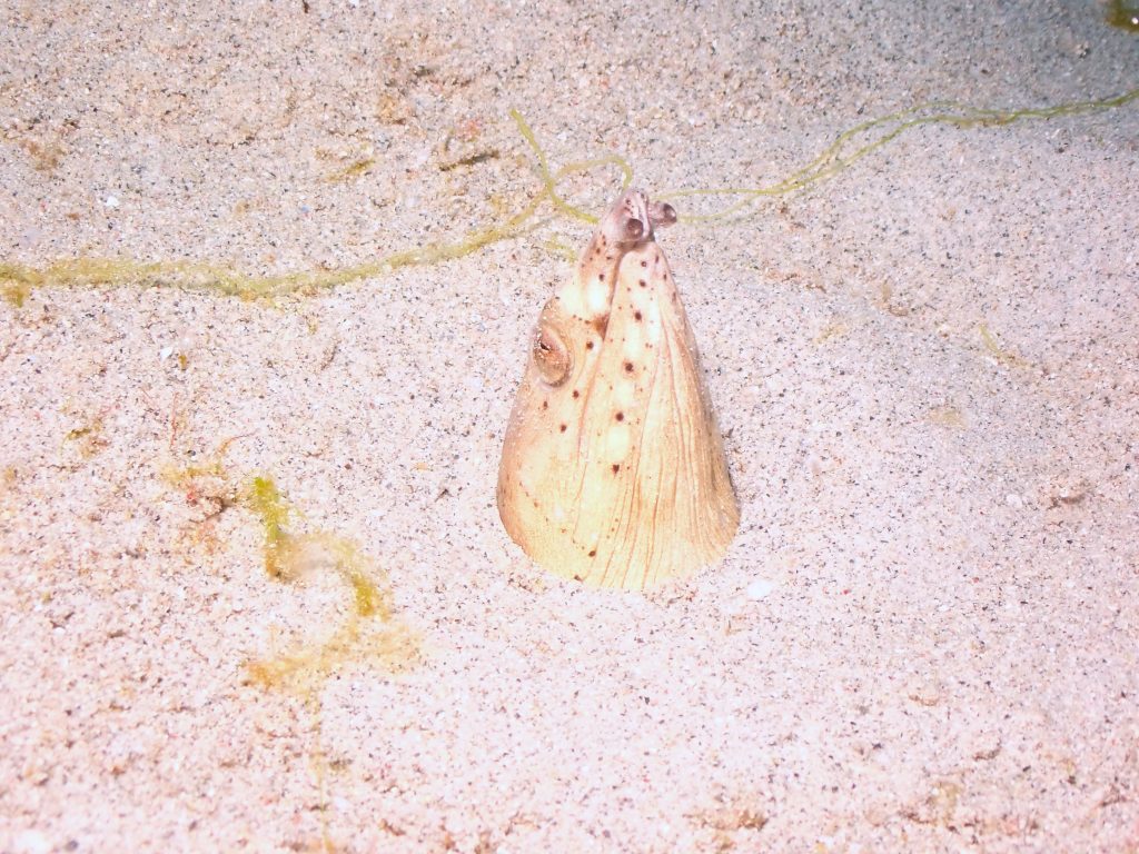 p1010150