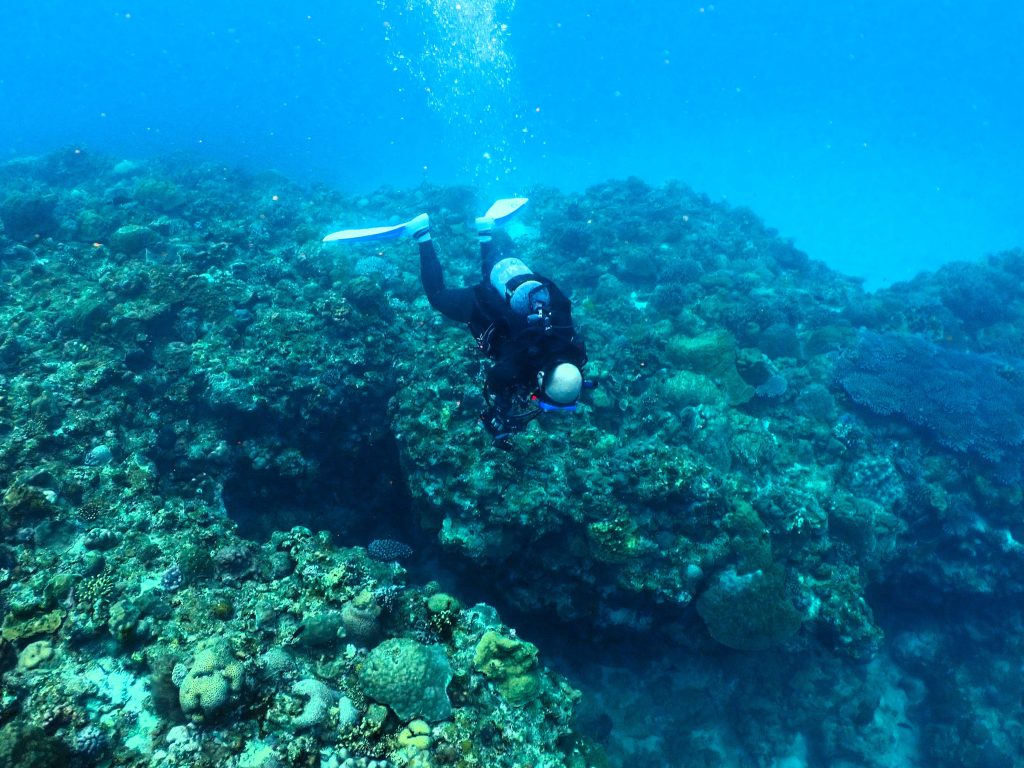 p2030149