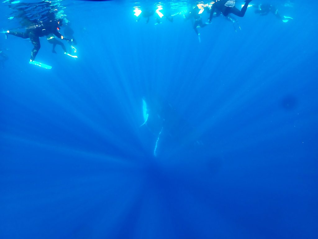 p2100167