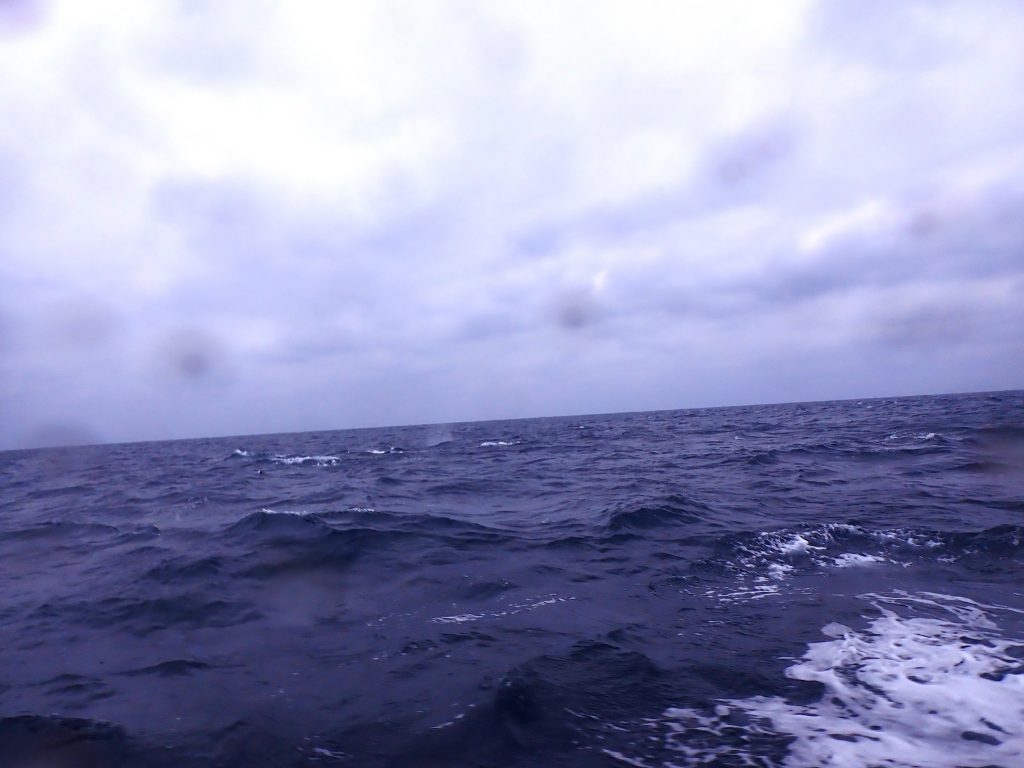 p2130002