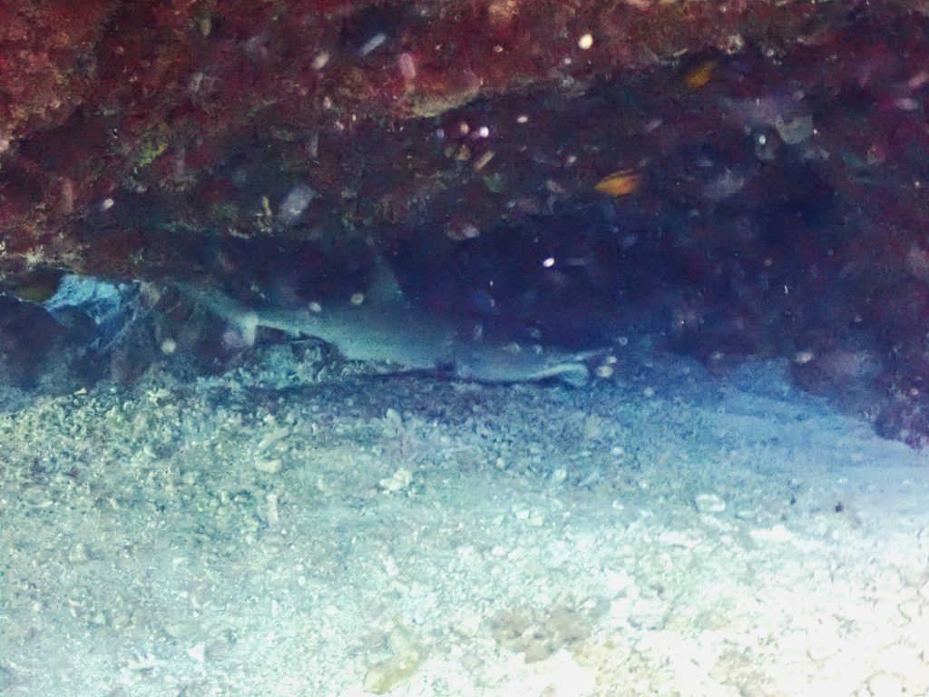 p2220357