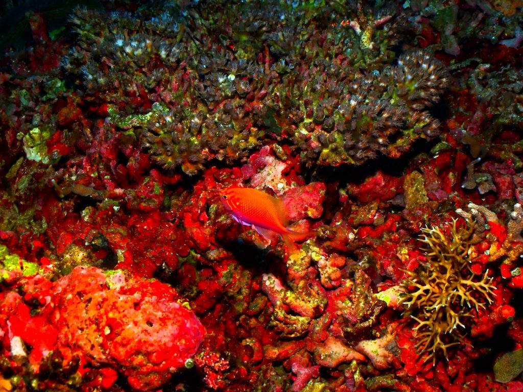 p3080013