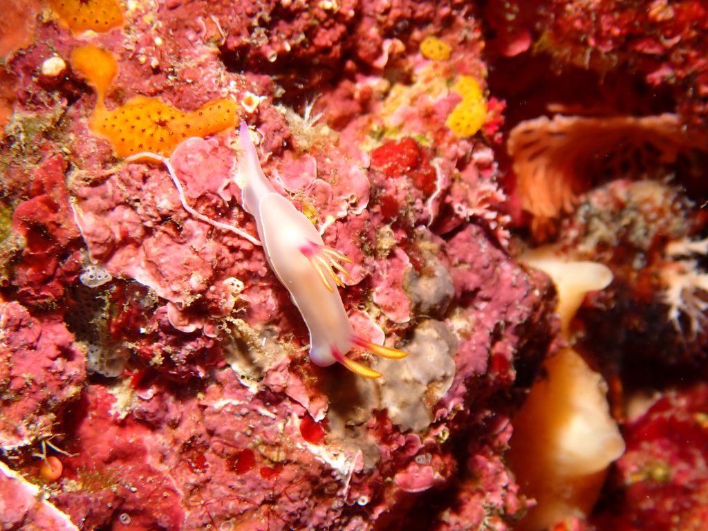 p4270257