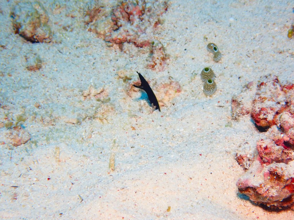 p5010046