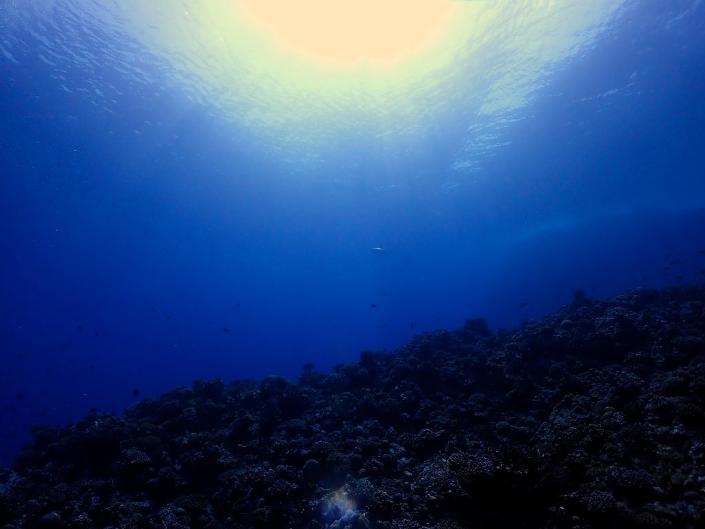 p5230011