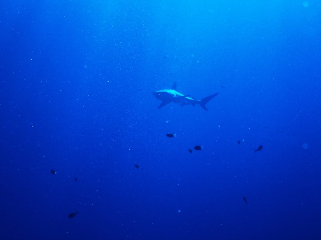 p5230014