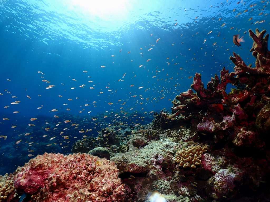 p5230033