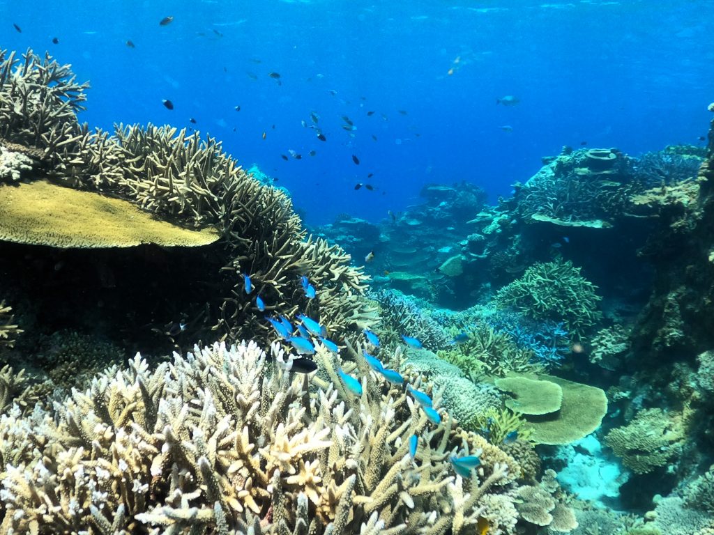 DCIM100GOPROGOPR4871.JPG