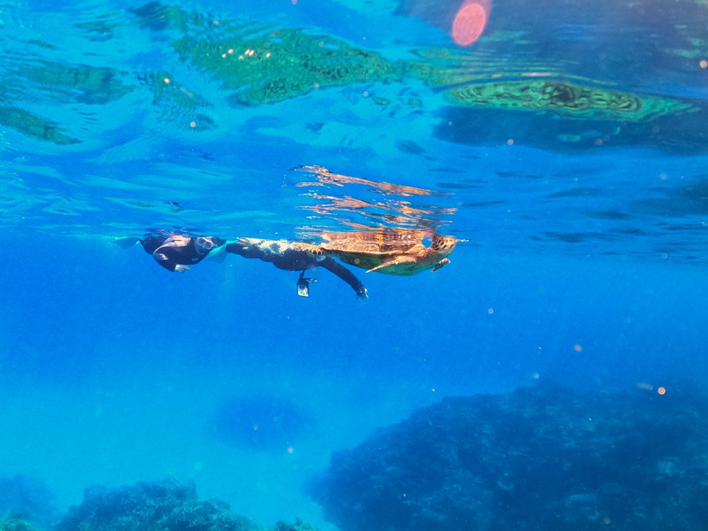 DCIM100GOPROGOPR4896.JPG