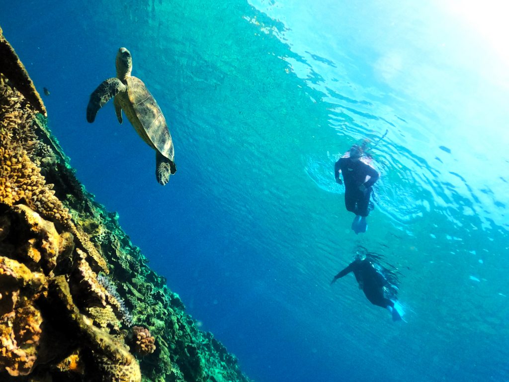 DCIM100GOPROGOPR4917.JPG