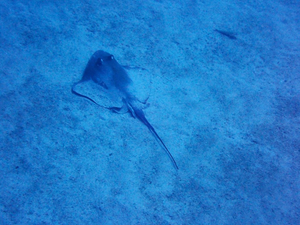 p6020289