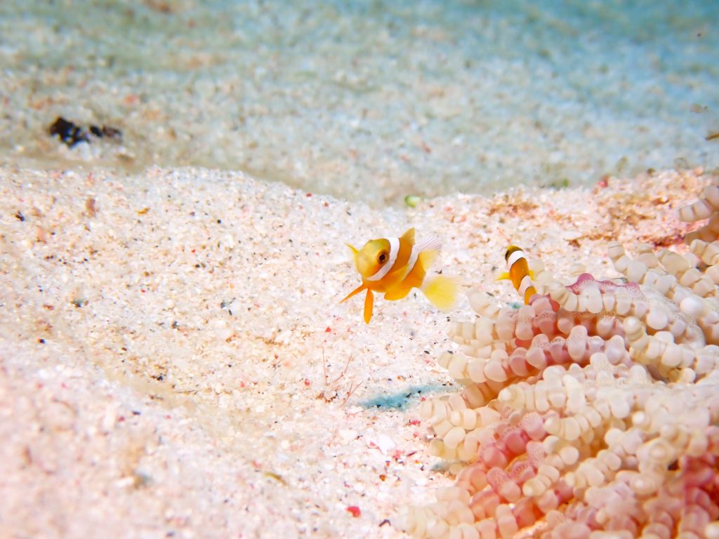 p6020316