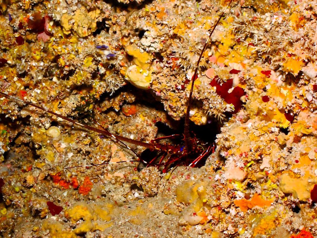 p6120258