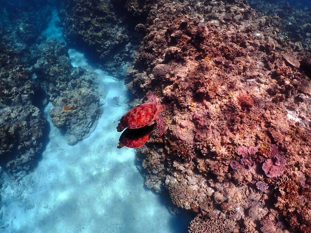 p6130416