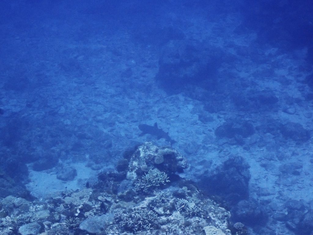 p6160727
