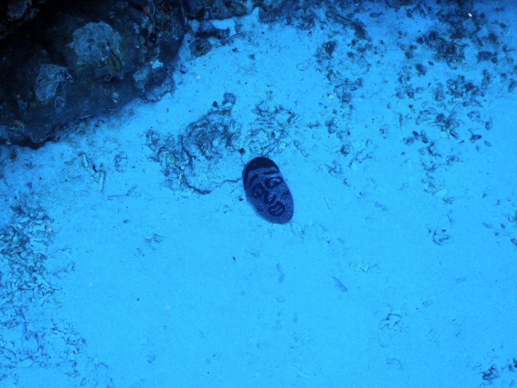 p6240150