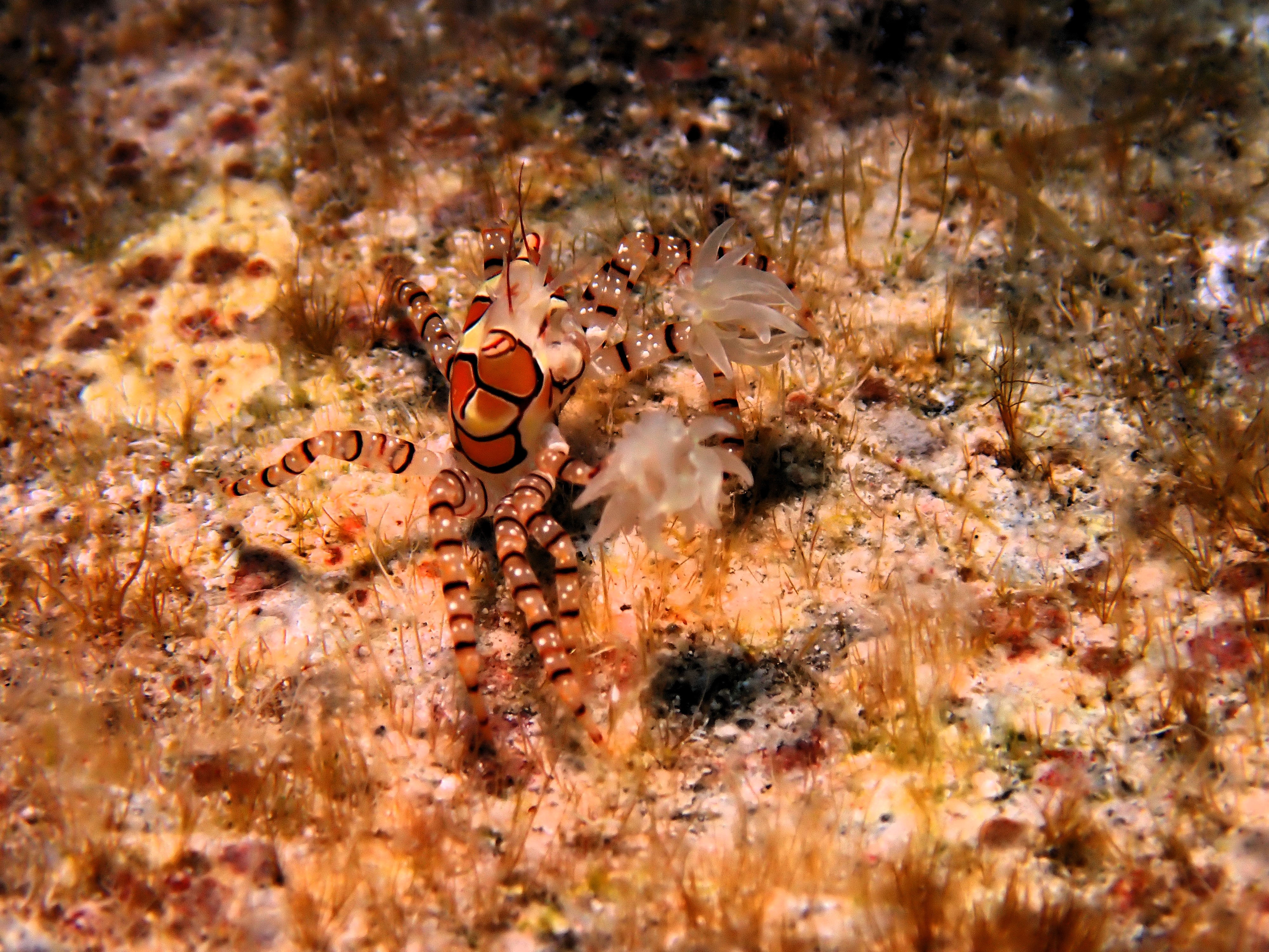 p6301110
