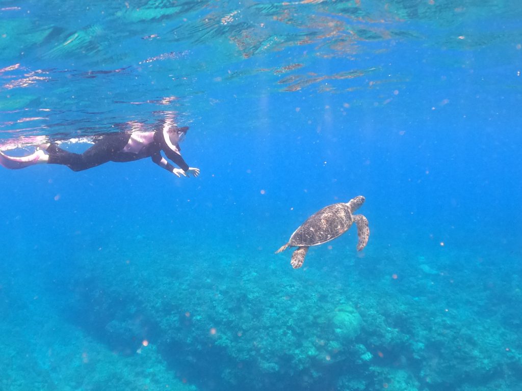 DCIM100GOPROGOPR5049.JPG