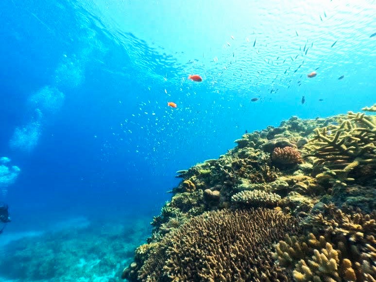DCIM100GOPROGOPR1043.JPG
