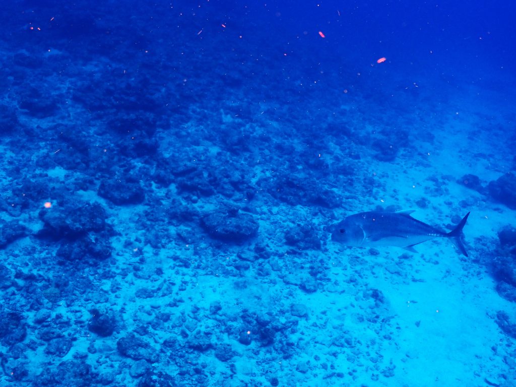 p1010405