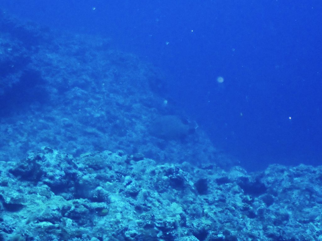 p1010441