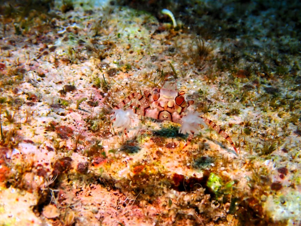 p7031245