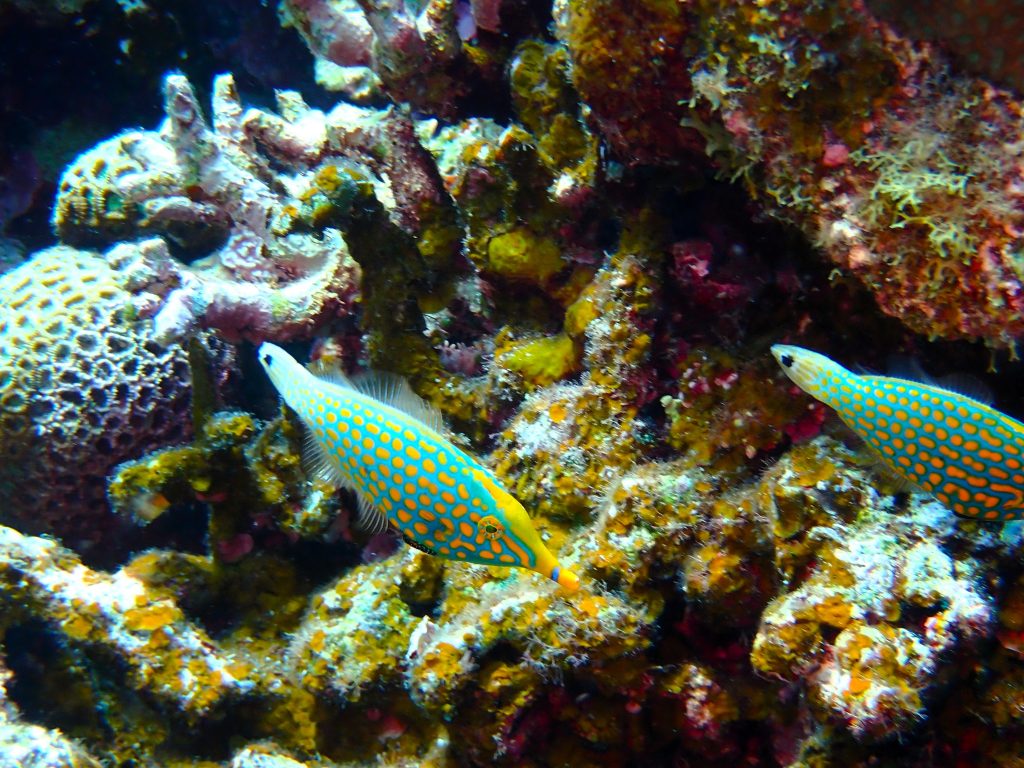 p7031276