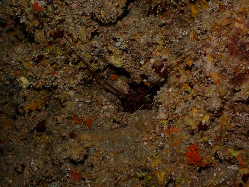 p7090702