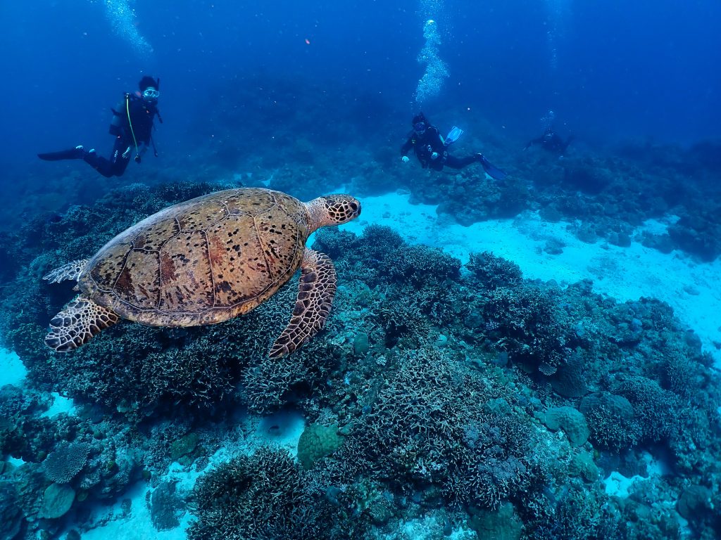 p7130062