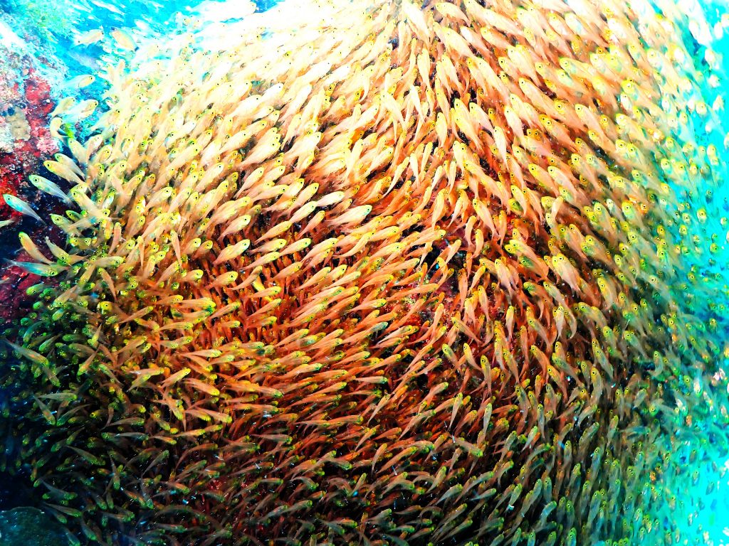p7140205