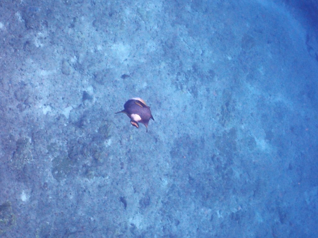 p7180447