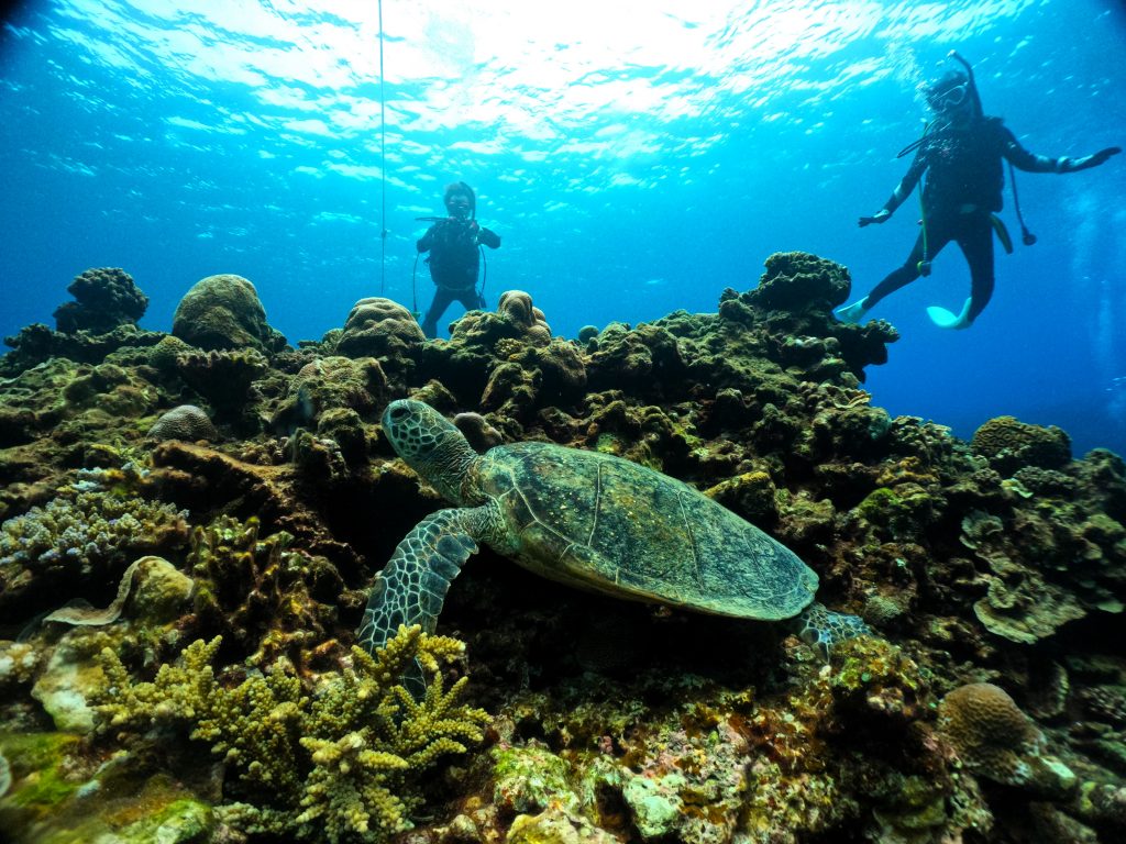 DCIM100GOPROGOPR2580.JPG
