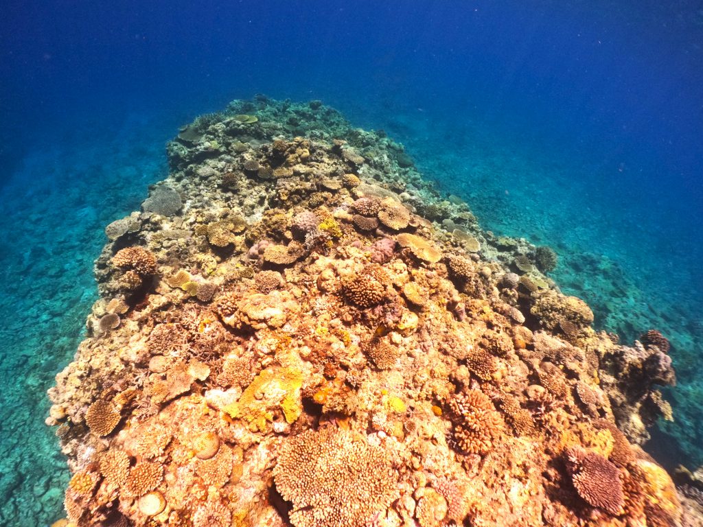 DCIM100GOPROGOPR2618.JPG