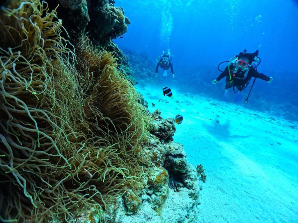 DCIM100GOPROGOPR2627.JPG