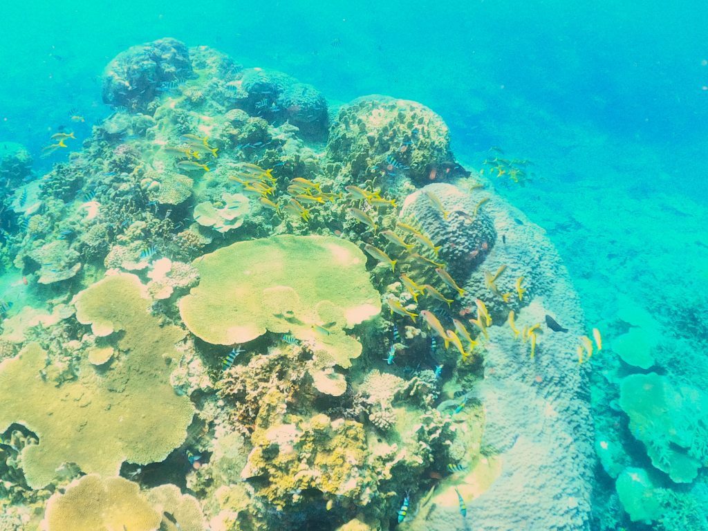 DCIM100GOPROGOPR5447.JPG