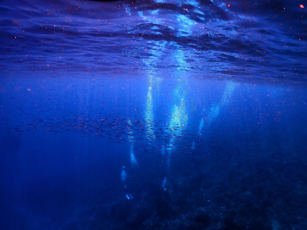 p8020010