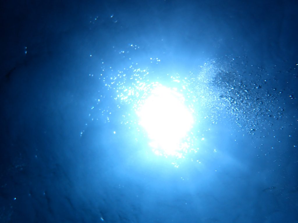 p8050048