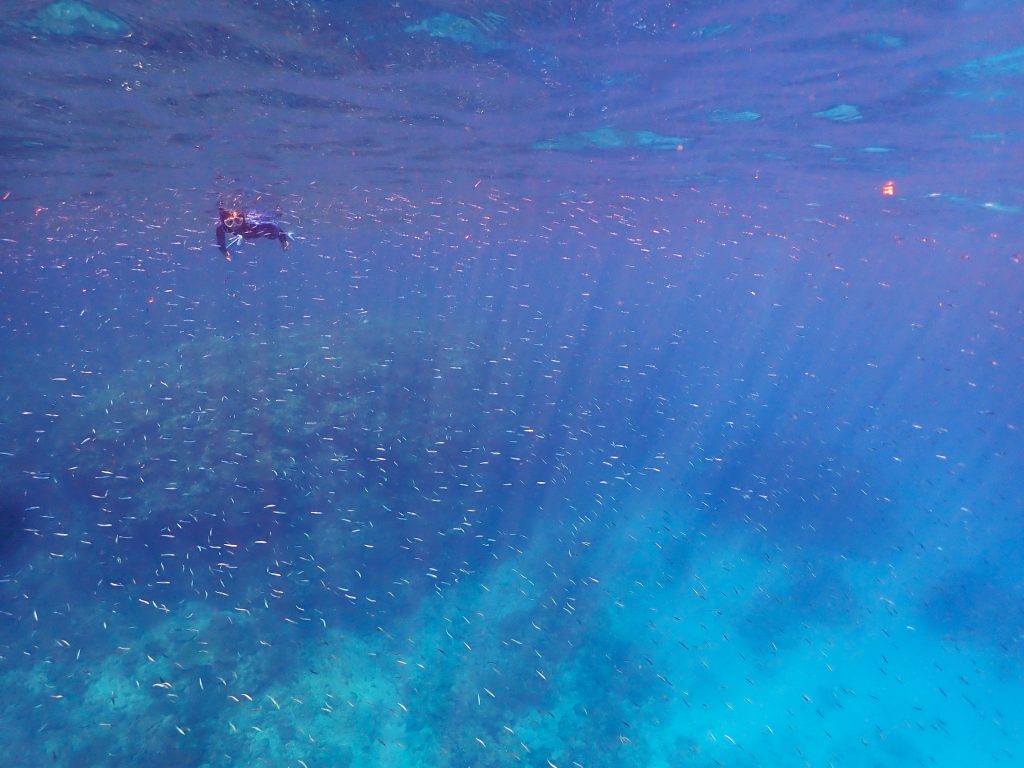 p8150159