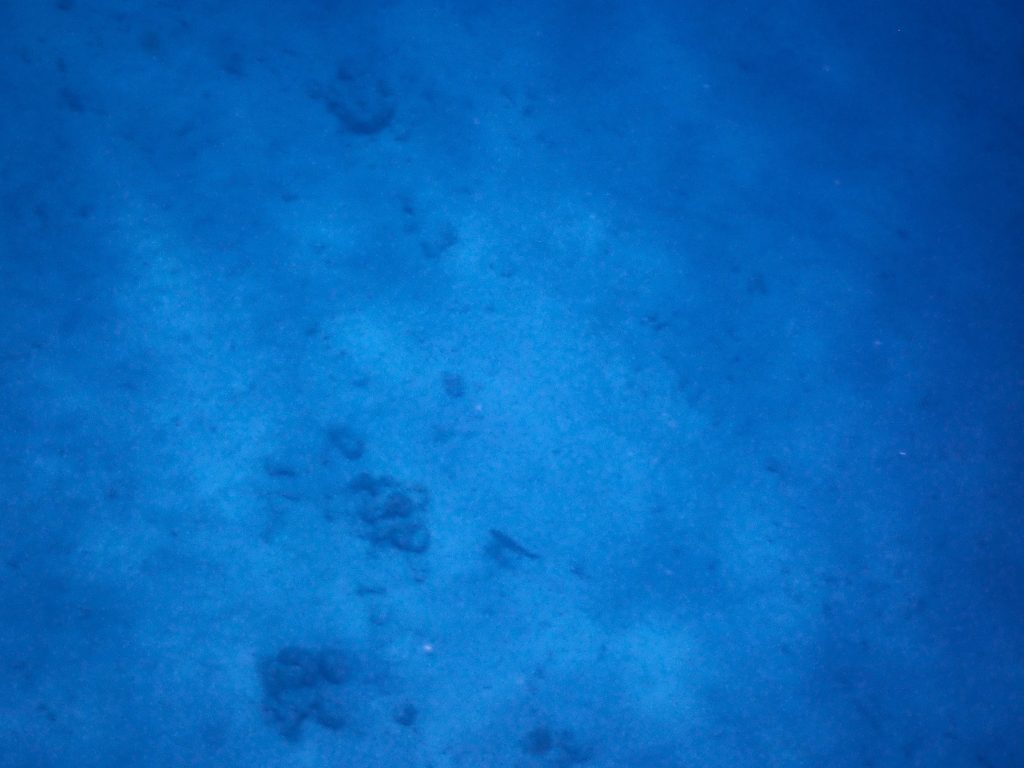 p8160218