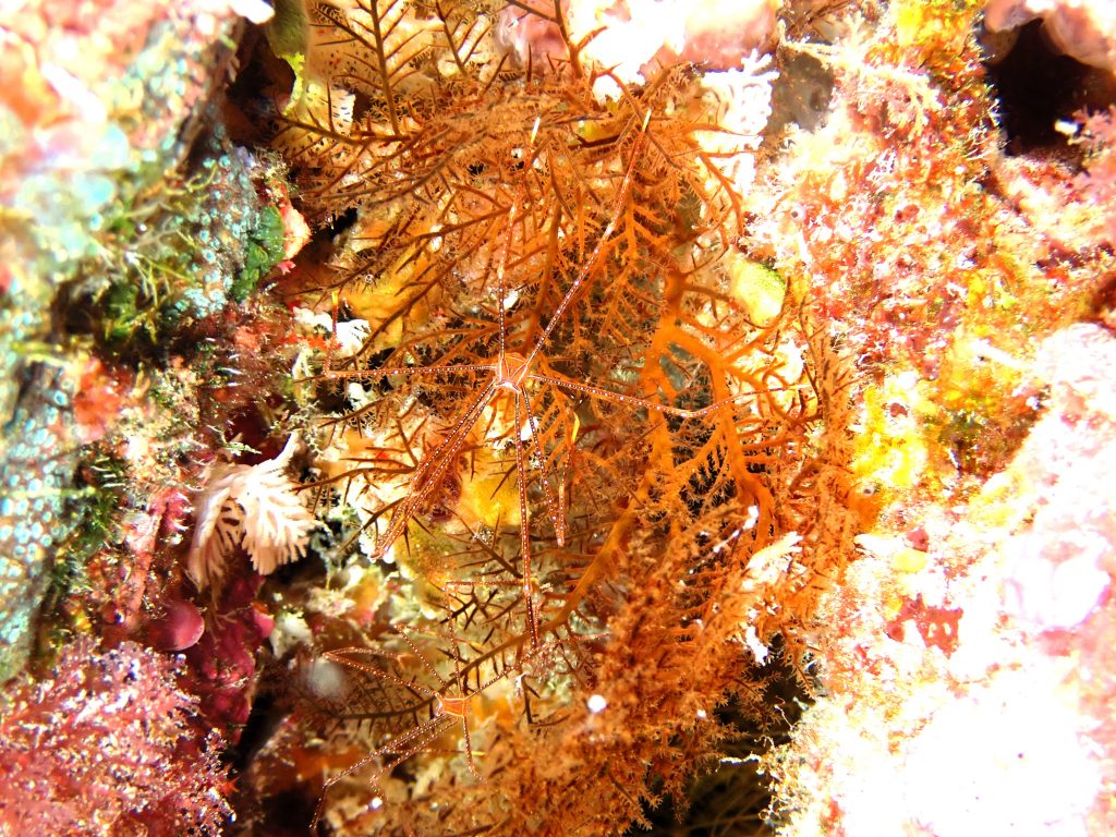 p8160856