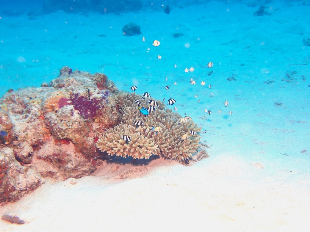 p8220076