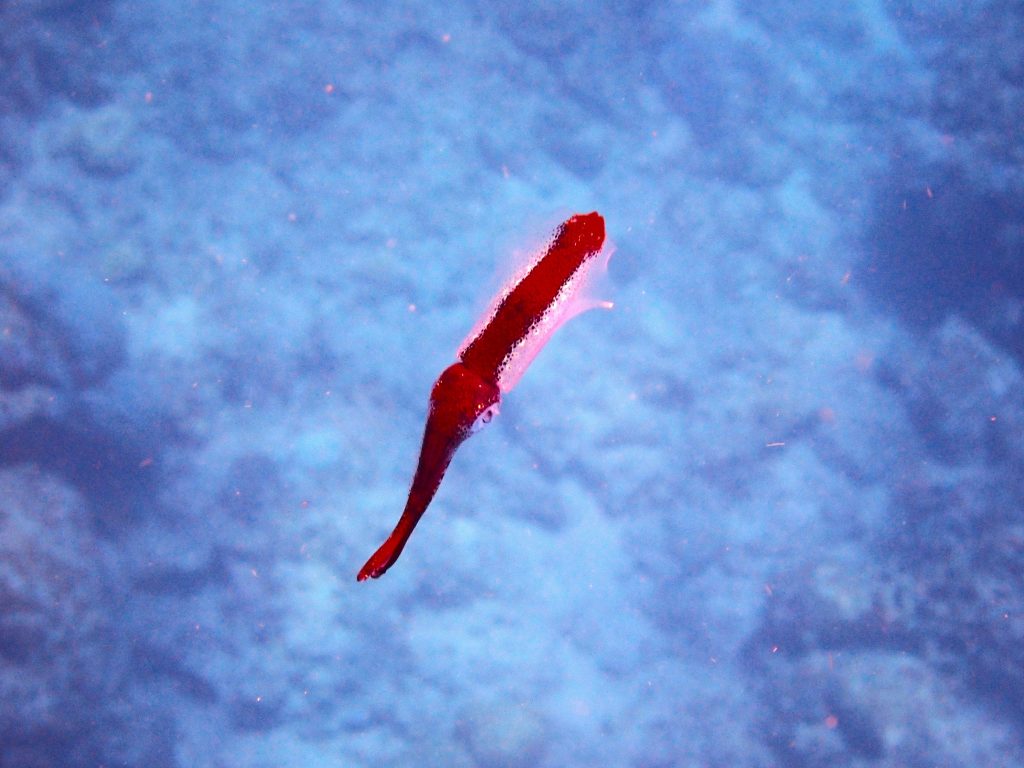 p8300024